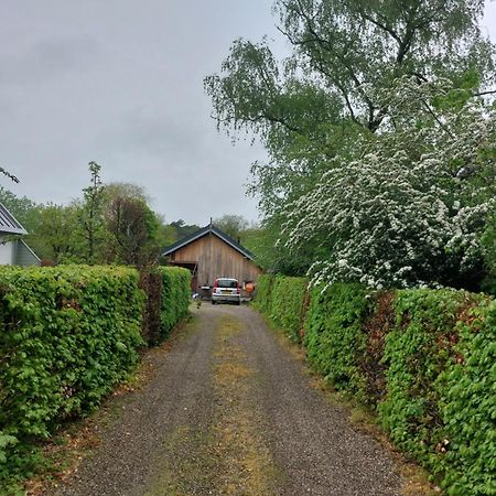 De Barre Hichte Bed and Breakfast Nijeberkoop Esterno foto